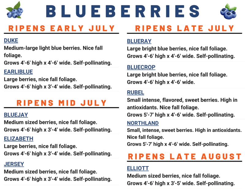 Garland's Farm and Garden Rutland, VT 05701